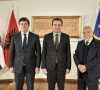 Kurti Mesić Topija