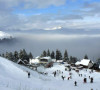 brezovica