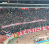 Stadion Crvene Zvezde