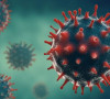 Korona virus.
