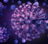 koronavirus