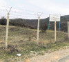 Crnuša