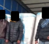 Imigranti