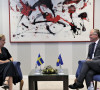 Hernmark i Bisljimi