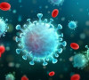 koronavirus