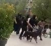 Maskirani sa psima prošetali trgom u Prištini