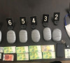 Zaplenjena droga