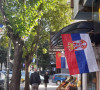 Zastava Mitrovica