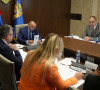Aleksandar Vulin, sednica Nacionalnog koordinacionalnog tela