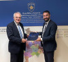 Krasnići i Viland