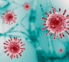 koronavirus
