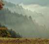Jutro na Zlatiboru, pobednička fotografija