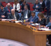 Donika Gervala Savet bezbednosti UN Kosovo onlajn