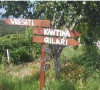 Vinogradi Albanija