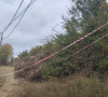 Prekopavanje groblja u Severnoj Mitrovici
