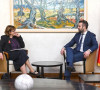 Spajić i Meken
