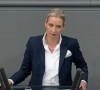 Alis Vajdel