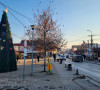 Gračanica