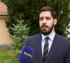 Milić