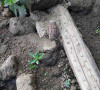 Ručna romba u drvorištu porodice Đuzić iz sela Mogila kod Vitine 
