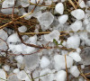 Grad - Nevreme