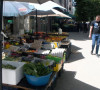 severna mitrovica