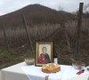 Orezivanje čokota u Majdevu