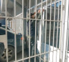 Zatvaranje Centra za socijalni rad u Severnoj Mitrovici