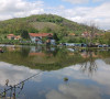 Vuča