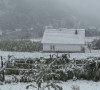 Štrpce sneg