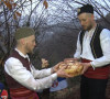 Brezovica