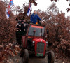 gračanica