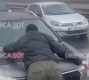 drenica sot