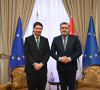 Starović Frangeš