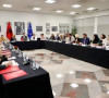 albanska dijaspora
