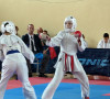 Karate turnir u Gračanici