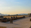 Eufor 