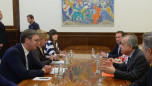 Vučić - Tanin
