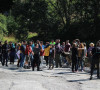 Brezovica 