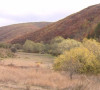 šume