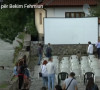bistrica
