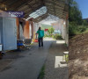 Gračanica