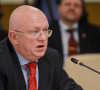 Vasilij Nebenzja