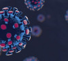 koronavirus