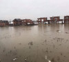poplave