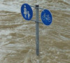 Poplave