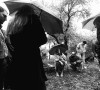 Dokumentarni film Uprkos svemu