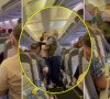 Tuča u avionu