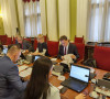 Nikola Selaković na sednici Odbora za dijasporu .jpg