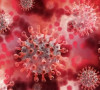 Virus kovida